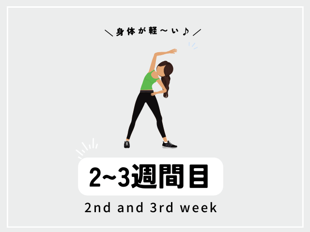 トレーニングの効果2〜3週間目