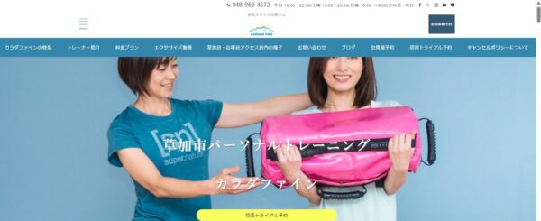 カラダファイン公式HP画像